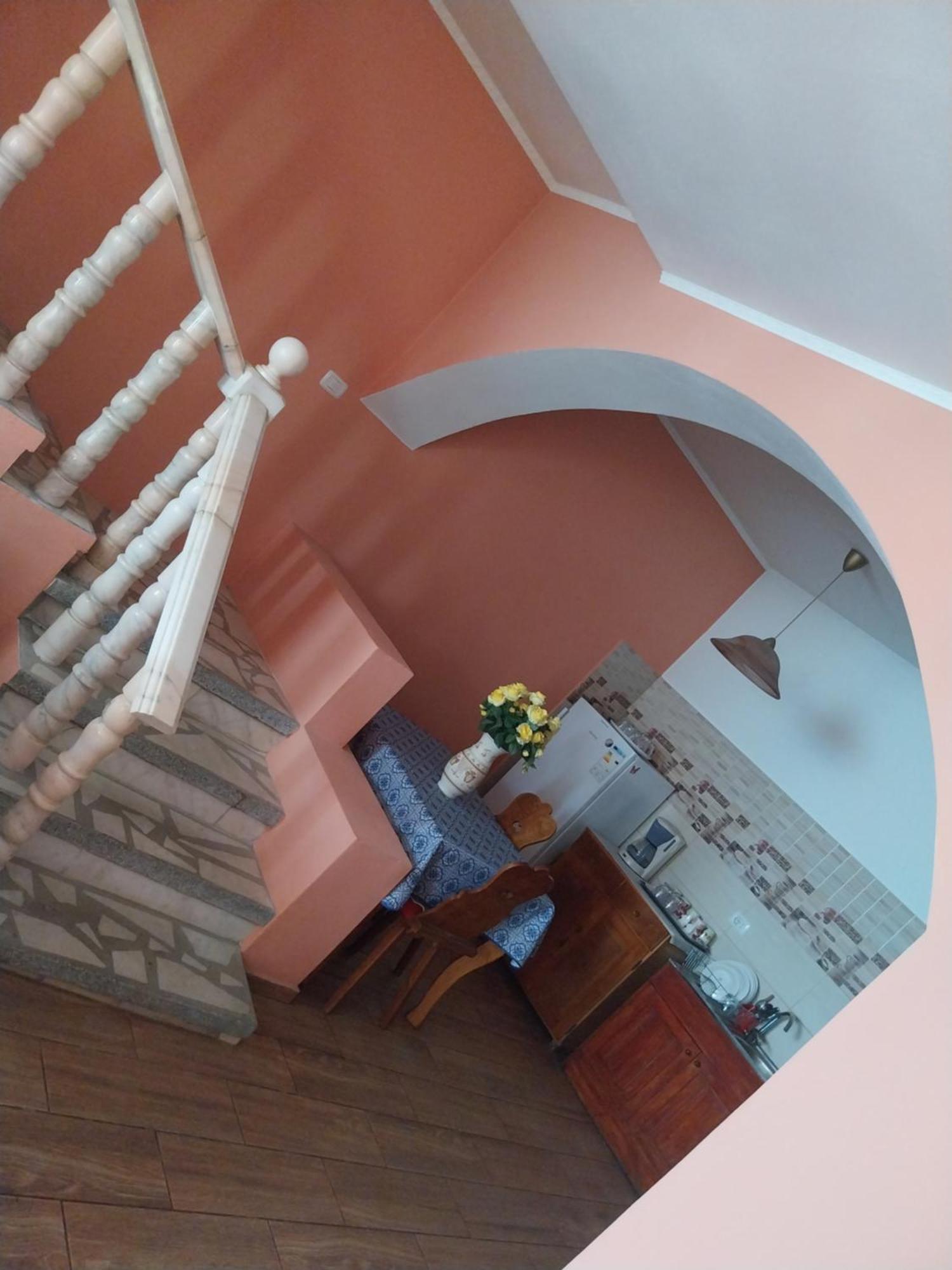Guest house Serena House Cartisoara