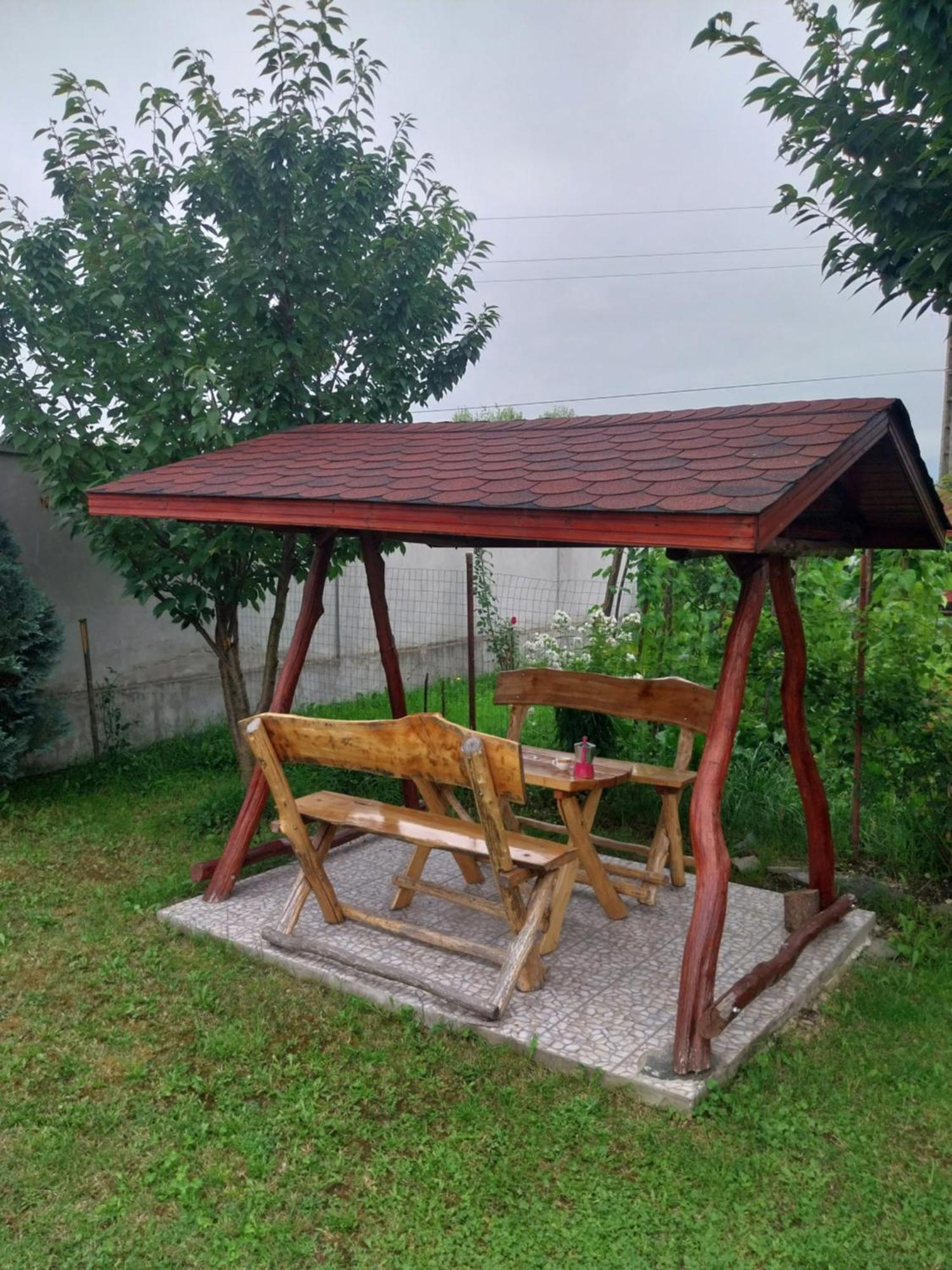 Guest house Serena House Cartisoara