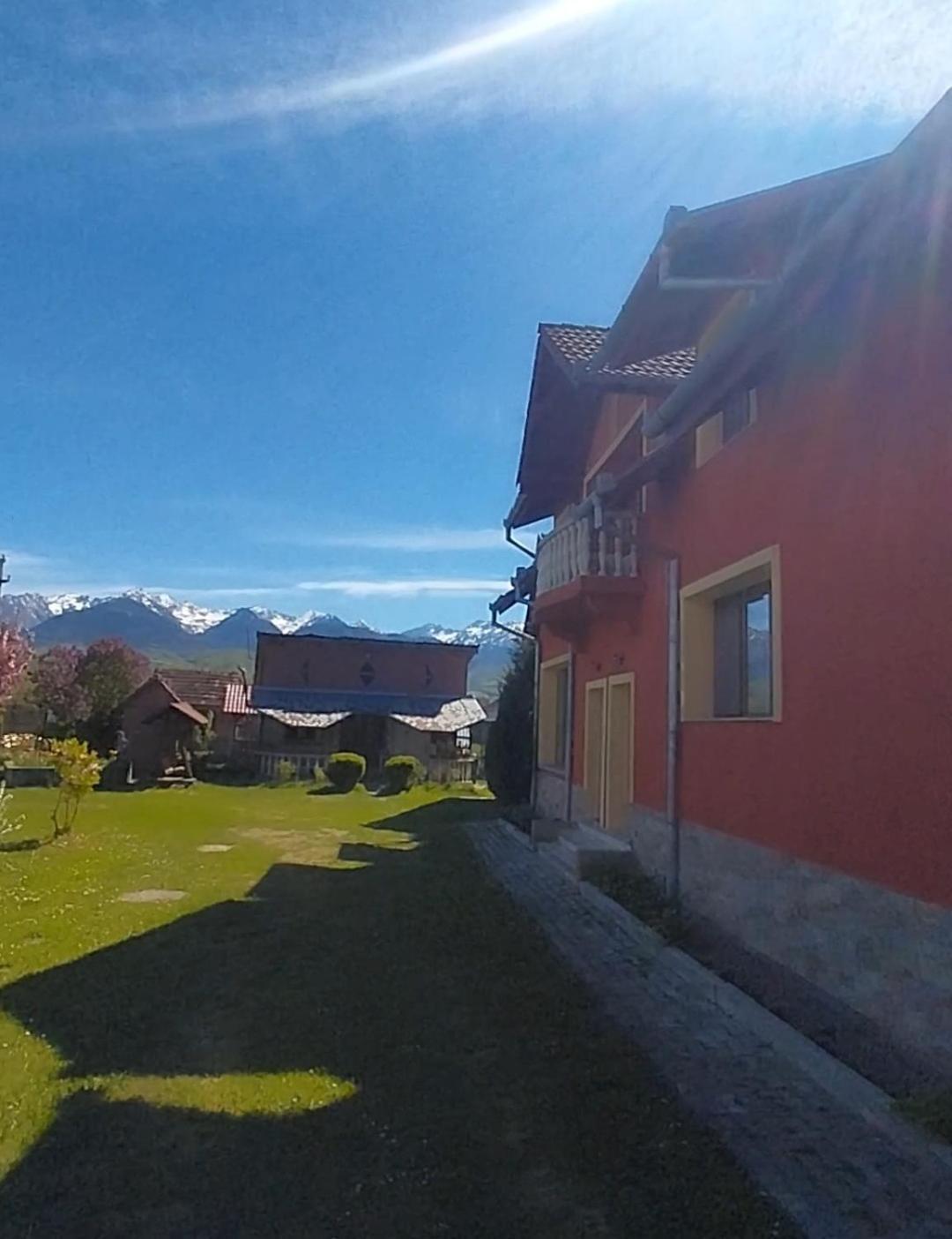 Guest house Serena House Cartisoara