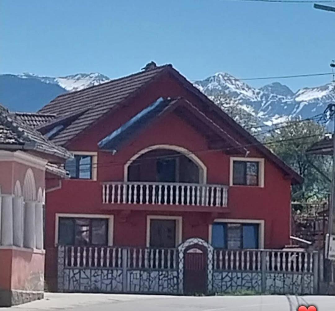 Serena House Cartisoara
